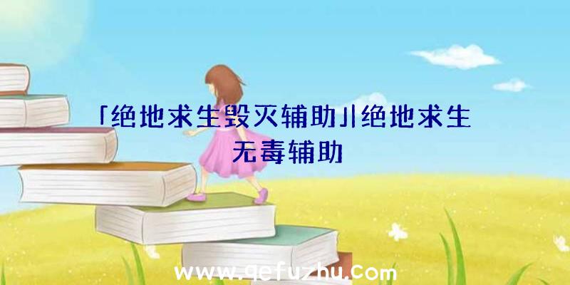 「绝地求生毁灭辅助」|绝地求生无毒辅助